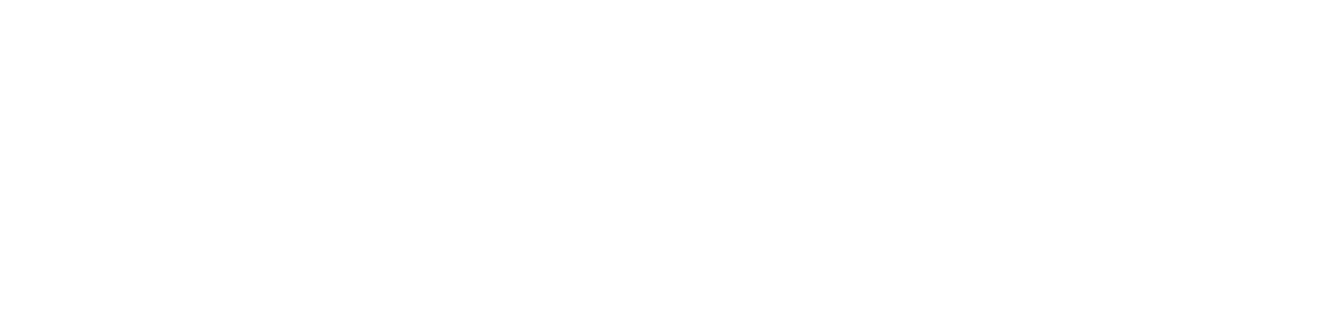 LifeSearch